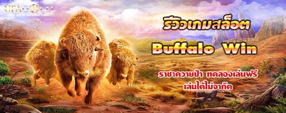 รีวิวเกมสล็อต Buffalo Win